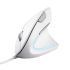 Миша Trust Verto Ergonomic, USB-A, білий