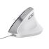 Миша Trust Bayo 2 Ergonomic, USB-A, біла
