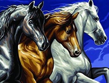 Набір для творчості Sequin Art Painting by numbers Senior Дикі коні 39*30см